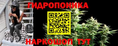 кокс Гусев