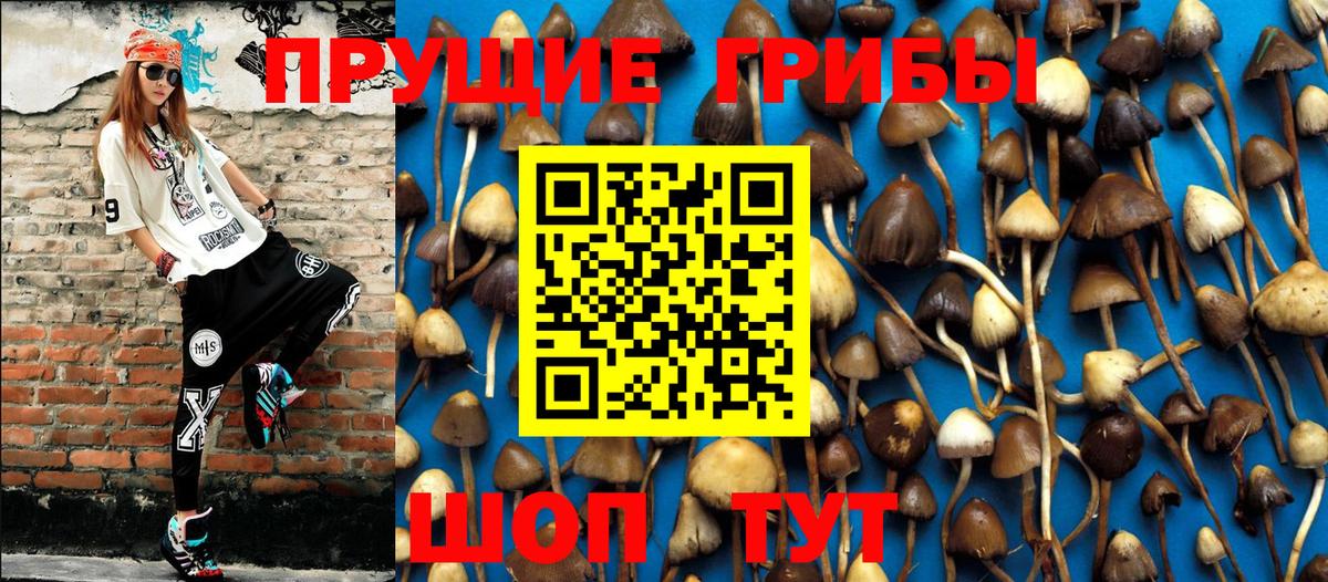 Псилоцибиновые грибы мухоморы Воркута