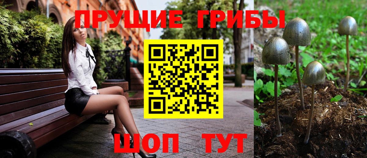 дарнет шоп  Вход с VPN  Псилоцибиновые грибы мицелий  Воркута  Галлюциногенные грибы прущие грибы 